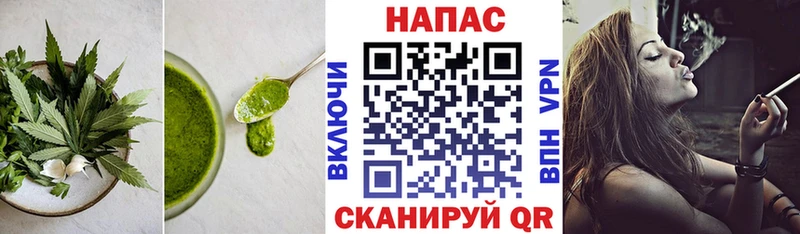 Canna-Cookies марихуана  kraken зеркало  Новоалтайск  наркота 