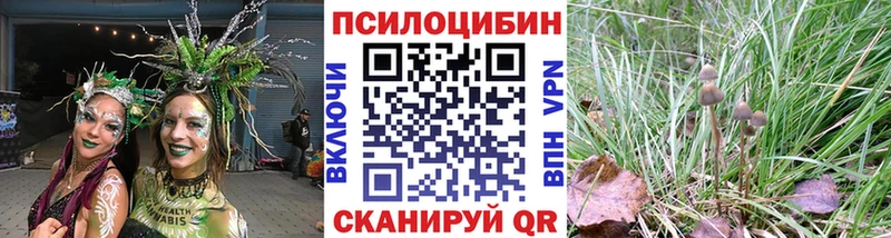 цена   Новоалтайск  Псилоцибиновые грибы MAGIC MUSHROOMS 