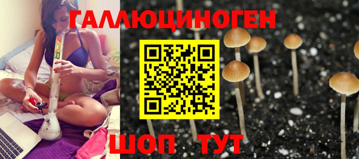 Псилоцибиновые грибы GOLDEN TEACHER  Вход с VPN  Новоалтайск 
